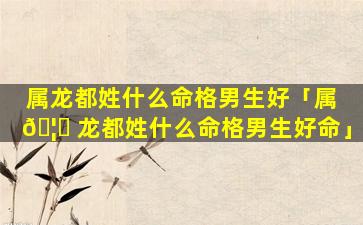 属龙都姓什么命格男生好「属 🦆 龙都姓什么命格男生好命」